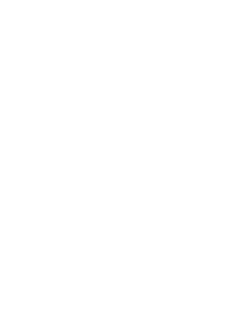 Ann Generlich contemporary fine artits